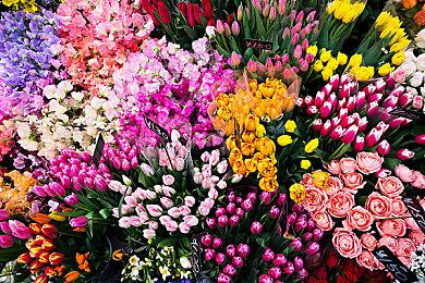 音游《最终幻想：节奏剧场》试玩版2月1日上线